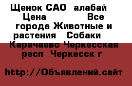 Щенок САО (алабай) › Цена ­ 10 000 - Все города Животные и растения » Собаки   . Карачаево-Черкесская респ.,Черкесск г.